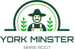 Bare Root Sales Shop