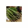 20-30cm 5 x Asparagus Backlim Bare Root -Bare Root Sales Shop TR0589 main image 9b1a