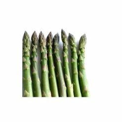 20-30cm 5 x Asparagus Pacific 2000 Bare Root