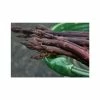 20-30cm 5 x Asparagus Pacific Purple Bare Root -Bare Root Sales Shop TR0593 main image 0aff