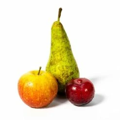 4-5ft Mini Orchard Fruit Tree Collection | Apple, Pear & Plum -Bare Root Sales Shop TRCOL05 add image 1 ac3c