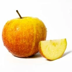 4-5ft Mini Orchard Fruit Tree Collection | Apple, Pear & Plum -Bare Root Sales Shop TRCOL05 add image 4 09be